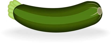 Zucchini clipart, Zucchini Transparent FREE for download on ...