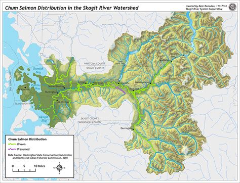 Fish of the Skagit River and How They're Doing - Skagit Watershed Council