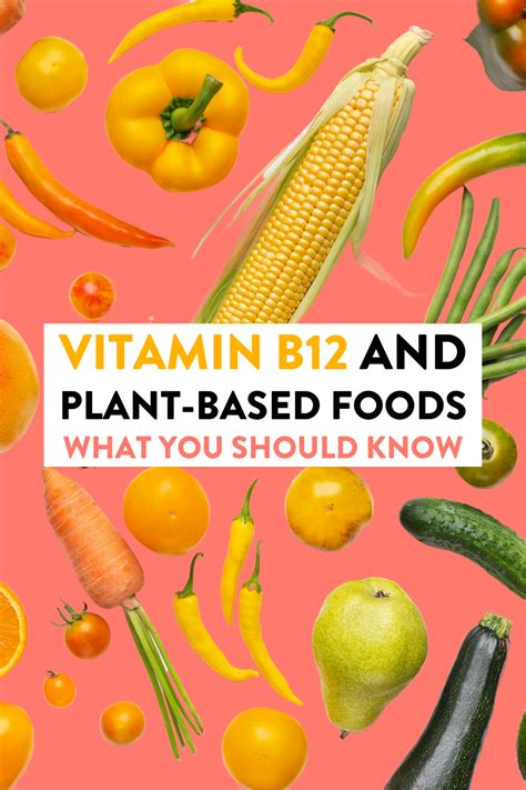 Vitamin B12 and the Plant-Based Diet | Vitamin b12, B12 foods vegan, Vitamin b12 benefits