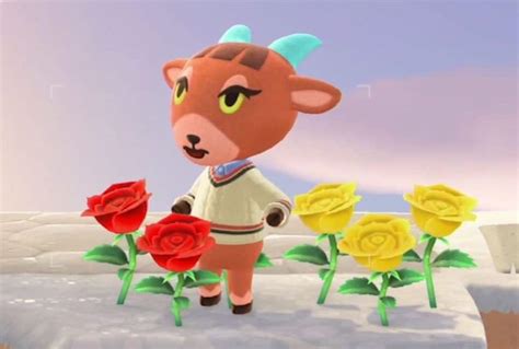 Pashmina Animal Crossing - Creature Crossing