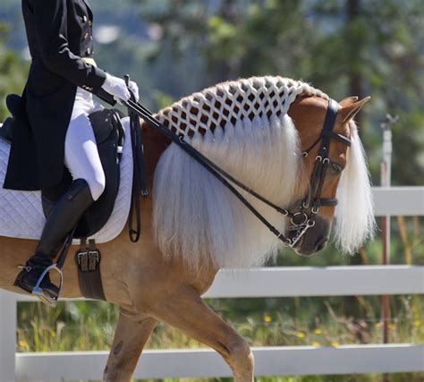 Impressive Horse Mane Braids | Rustic Western Furniture Store