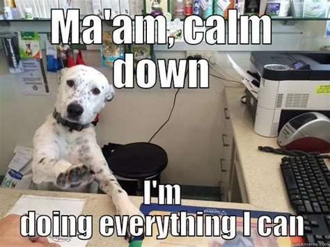 dog receptionist - quickmeme