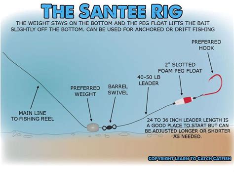 The Santee Rig Or Santee Cooper Rig For Catfish | Catfish rigs, Bottom fishing rigs, Catfish fishing