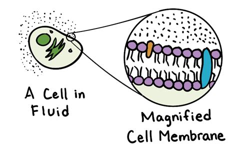 Fluid Mosaic Model Animation