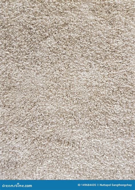 Seamless Fluffy Carpet Texture in Light Brown Color / Background Texture / Interior Design Stock ...