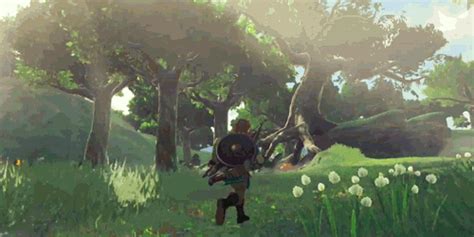 The Legend of Zelda: Breath of the Wild Gif - Gif Abyss