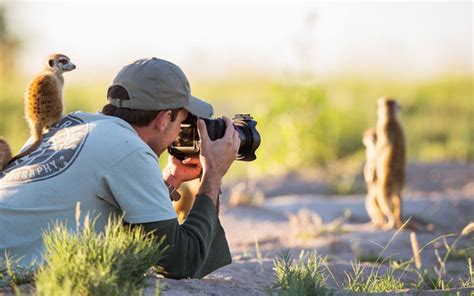 20 Pictures Showing That Nature Photographers Have The Best Jobs Ever ...