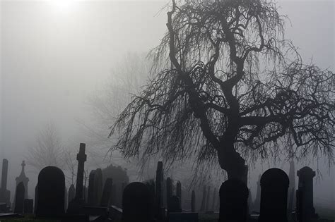 Spooky Old Cemetery On A Foggy Day - مدیاسافت