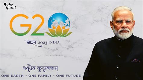 In Diversity Pitch, PM Modi Unveils Lotus As G20 India Logo: What Does It Mean?