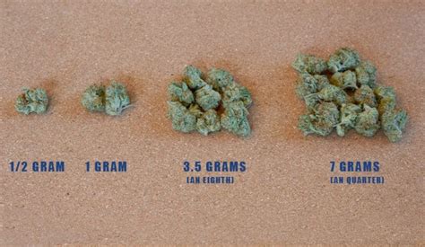 Understanding A Quarter of Weed | My Marijuana Cards