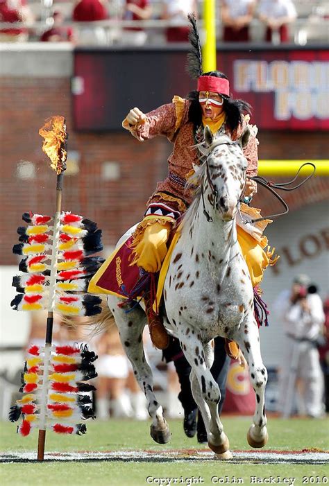 chief osceola mascot for fsu - Bing Images | Fsu, Fsu football, Georgia ...