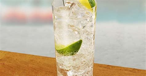 Vodka Tonic- perfect aperitif or drink with friends