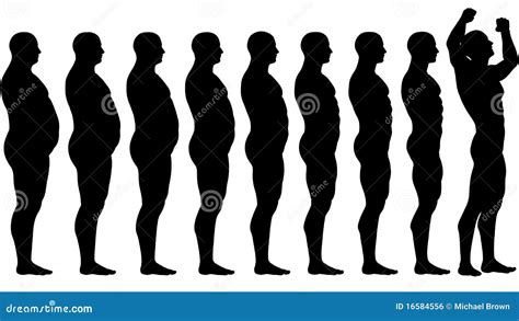 Fat To Fit Before After Diet Weight Loss Success Stock Vector ...