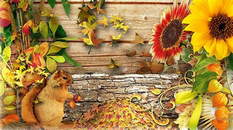 HD wallpaper: Fall Squirrel, leaves, sunflowers, wood, autumn, garden ...