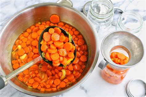 Easy Quick Pickled Carrots Recipe l a farmgirl's dabbles