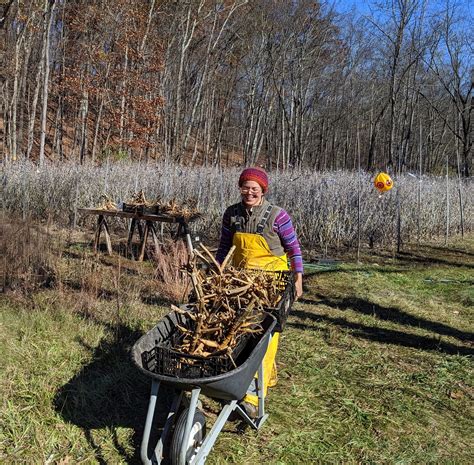 Our Farm – Hudson Valley Seed Company