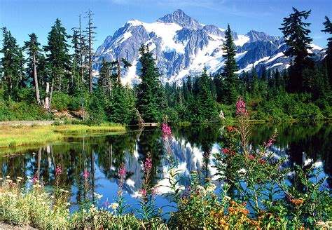 Seven mountain peaks you must admire in Washington state | HeraldNet.com