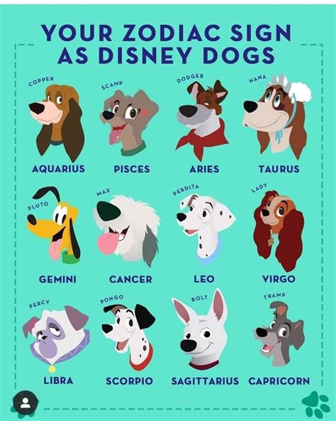 Doggo Zodiac | Disney zodiac, Zodiac signs animals, Dog zodiac