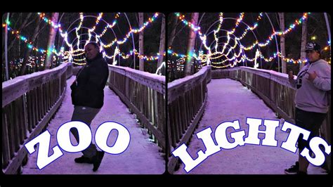 TRIP TO ALASKA ZOO LIGHTS - YouTube