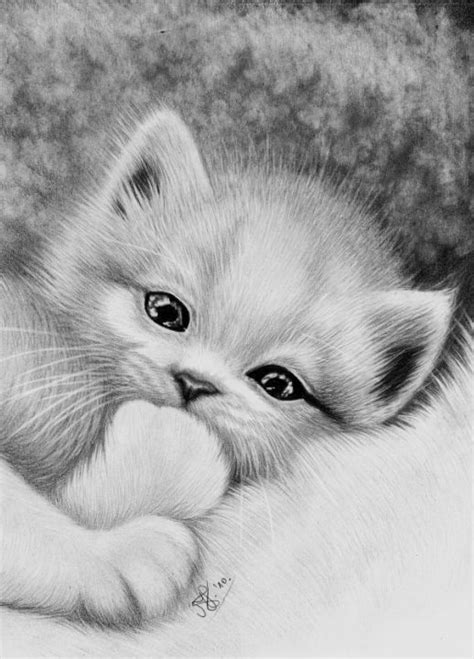 Een projectjes voor : http://kleurvitality.blogspot.be Cat Coloring ...