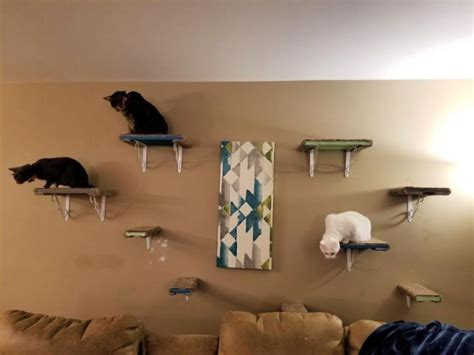 16 Creative DIY Cat Shelves and Cat Wall Ideas - Blitsy