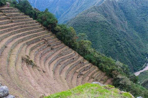 Ancient Inca Stone Farming Terraces. Inca Trail, Peru. Stock Photo - Image of climb, nature ...