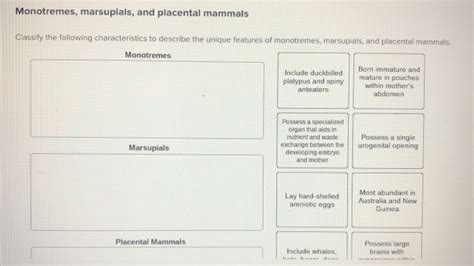 Solved Monotremes, marsupials, and placental mammals | Chegg.com