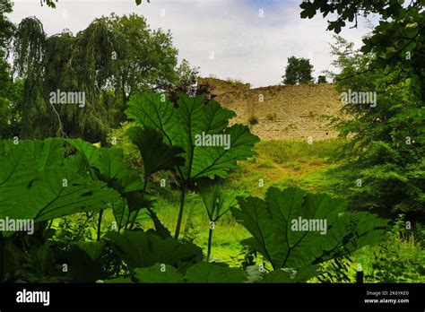 Saltwood Hythe Castle-in Saltwood village, one mile north of Hythe ...