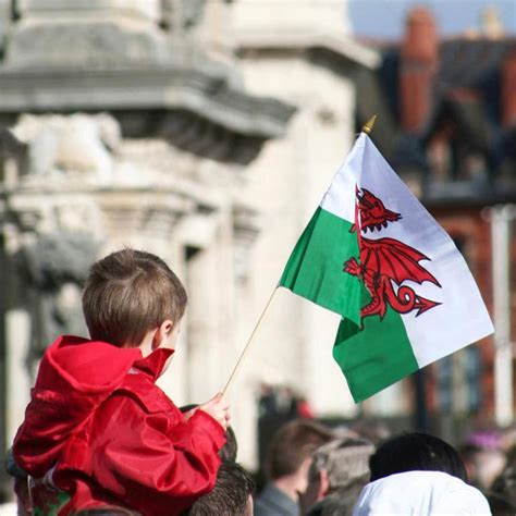 Wales Mini Flag 12 Pack - 5x8 Inch with Solid Pole & Spear Top - Anley Flags