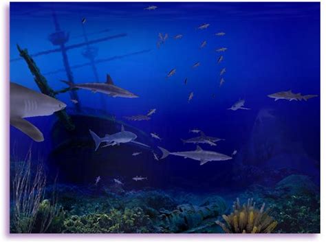 Sharks 3d screensaver and animated wallpaper - xywery