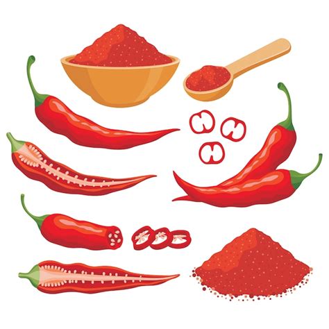 Red chili pepper vector set illustration | Premium Vector