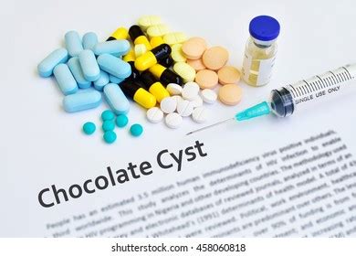 92 Chocolate cyst Images, Stock Photos & Vectors | Shutterstock