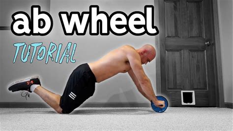 Ab Wheel For Beginners | Rollout Progression and Extra Exercises in 2020 | Ab wheel workout, Ab ...