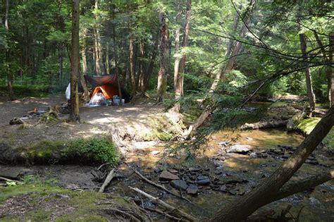 Went camping in the Allegheny national forest : r/CampingandHiking