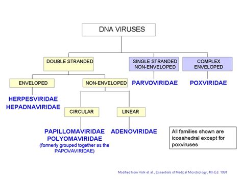 Virology - Introduction