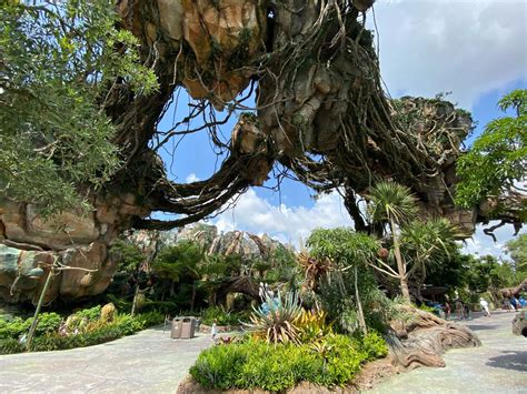 Disneyland 'Avatar' Experience Will Be 'As Amazing' as Pandora – The World of Avatar - WDW News ...