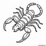 Realistic Scorpion Coloring Page  Pagescom sketch template