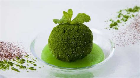 Edible ball of moss is a great way to get your daily dose of greens | Mashable