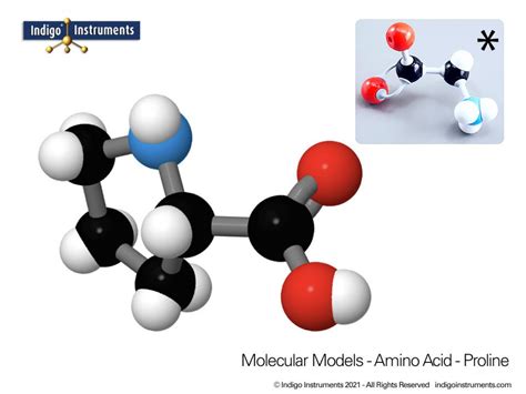 Amino Acid Model | sexiezpix Web Porn