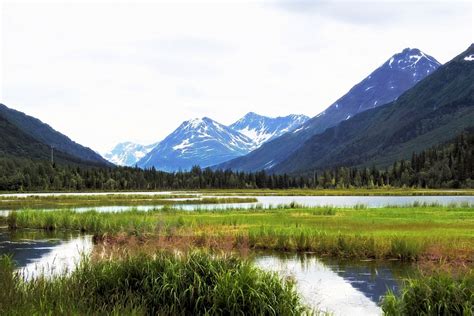 Parque Nacional Denali y el Interior de Alaska 9 dias Tour AK031 – Alaska Latin Tours