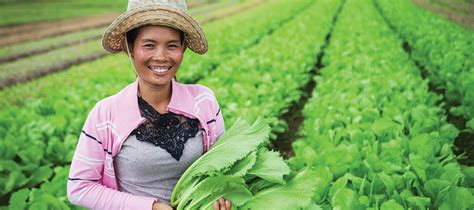 The Future of Cambodia: Agriculture