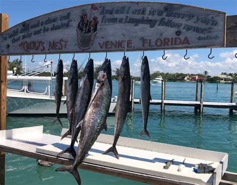 Venice, Florida Fishing Report - April 2018 - Liquid Lifestyle Charters