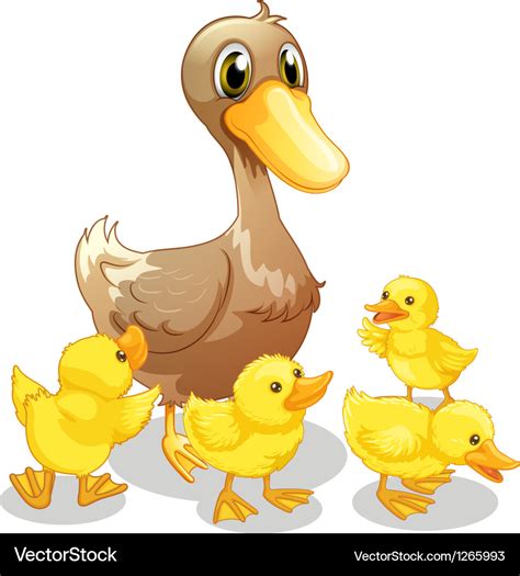 The brown duck and her four yellow ducklings Vector Image