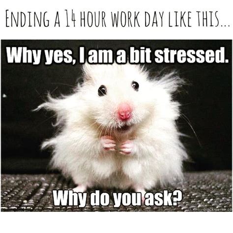 45 Way-Too-Funny Work Stress Memes That Will Make You Go ‘Same ...