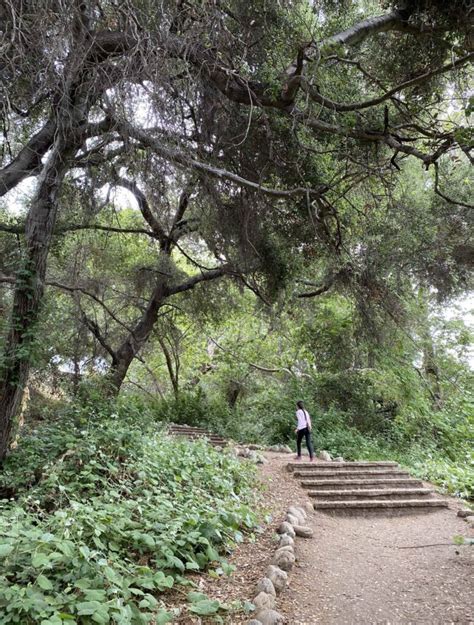 Pasadena Charm - Best Hiking Trails Around Pasadena - Pasadena Charm