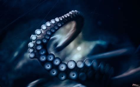 🔥 [50+] Cute Octopus Wallpapers | WallpaperSafari