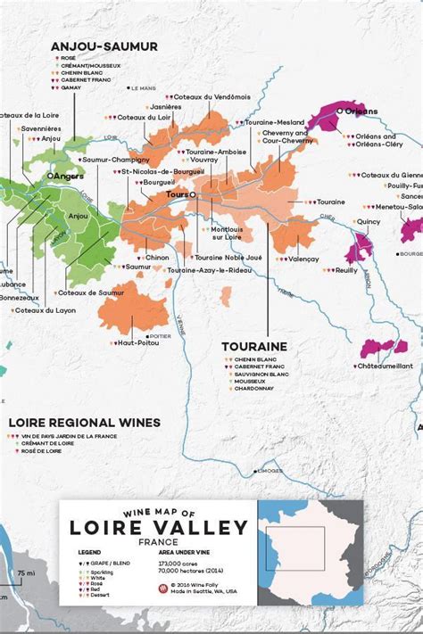 France: Loire Valley Wine Map | Loire valley wine, Wine map, Wine region map