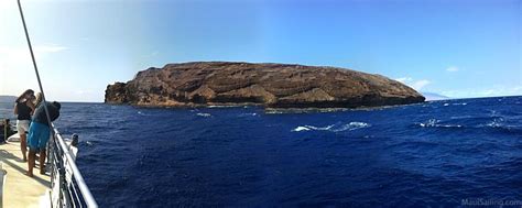 Molokini Snorkeling Tours: The Facts - Maui Sailing