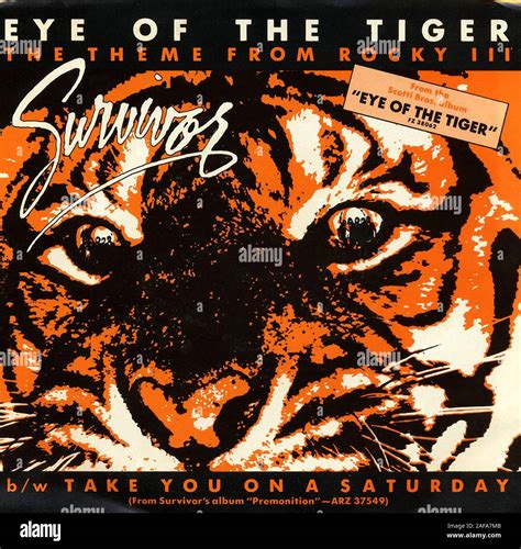 Eye of the tiger – survivor hi-res stock photography and images - Alamy