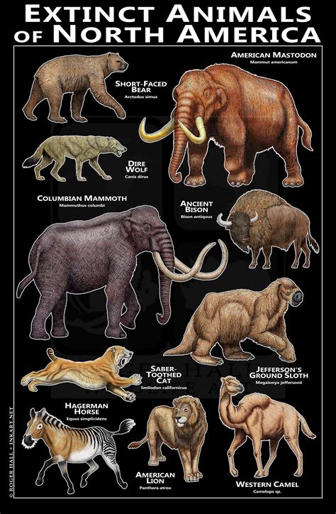 Extinct Animals of North America Poster - Etsy